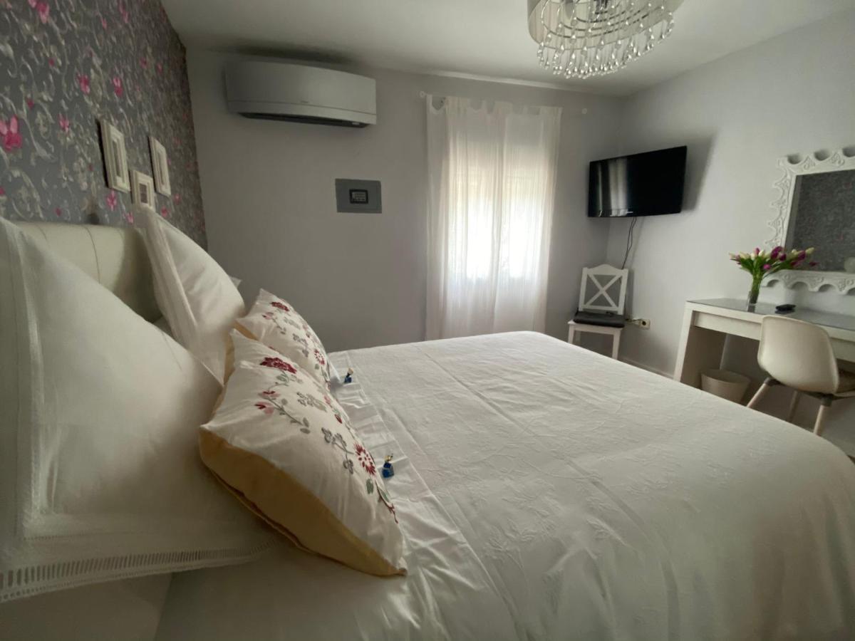 Apartamento La Biblioteca En Cuenca 昆卡 外观 照片
