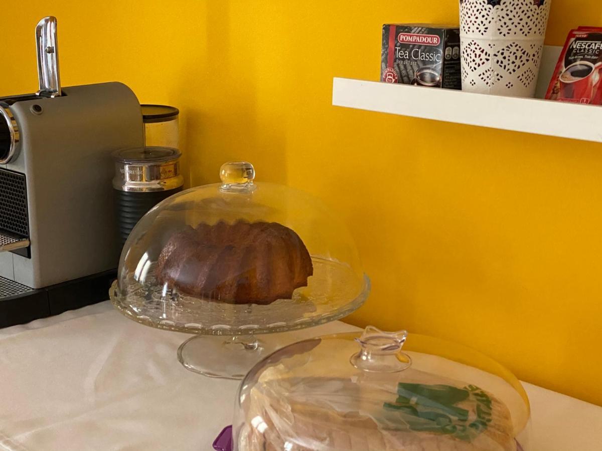 Apartamento La Biblioteca En Cuenca 昆卡 外观 照片