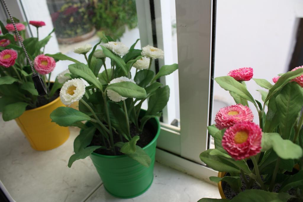 Apartamento La Biblioteca En Cuenca 昆卡 客房 照片